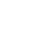 White shield Icon