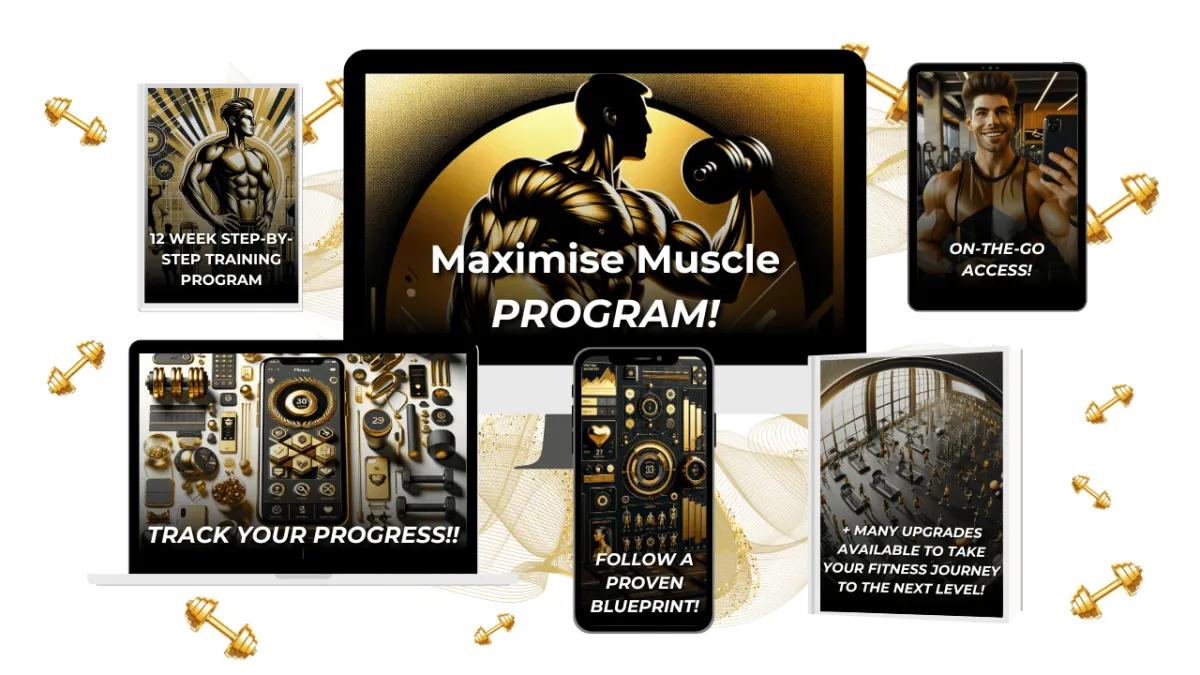 Build muscle on-line program in Tampa FL