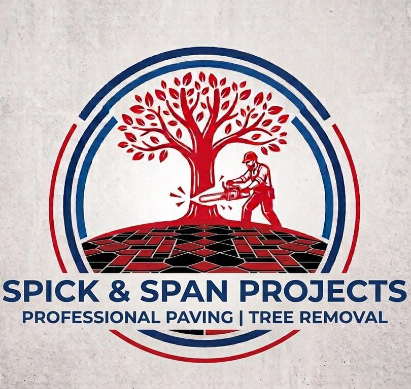 Spick n Span Projects Logo