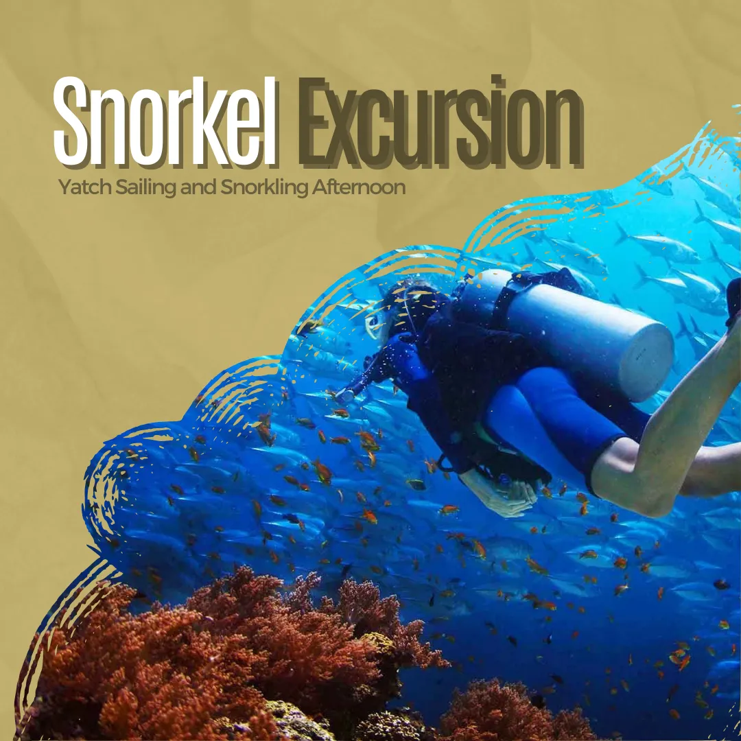 FAM Trip For Travel Agents Snorkeling In Egypt