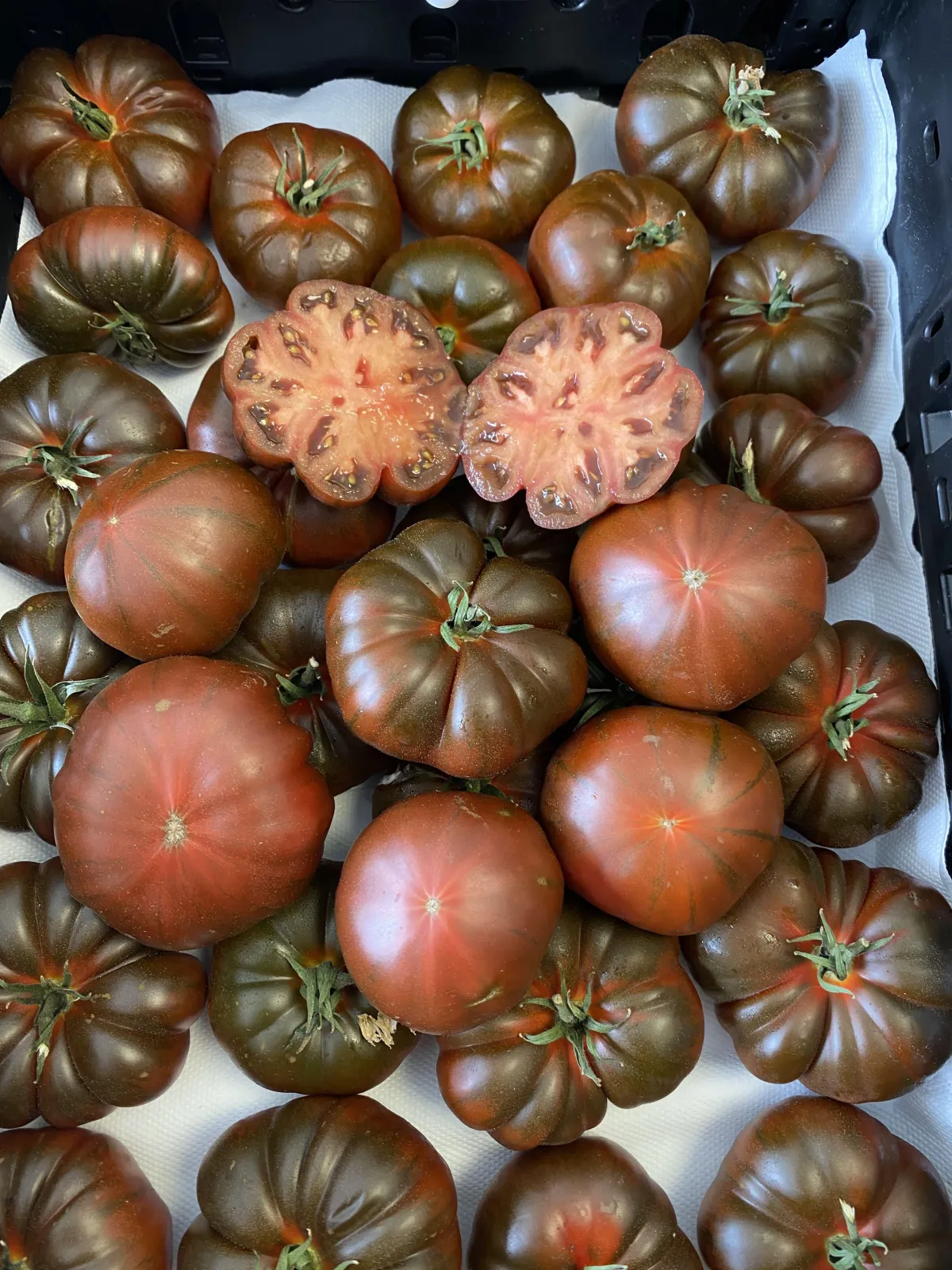 Tomaten von Casa Mediterranea 