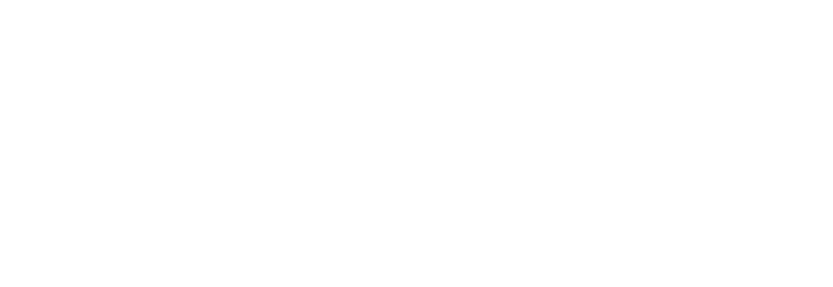 The Chiro Solution Logo
