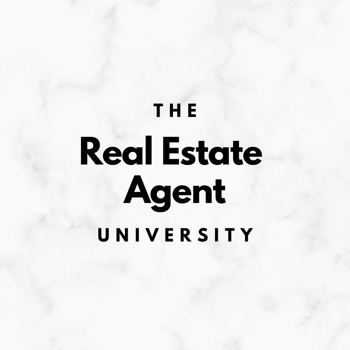 The Real Estate Agent University