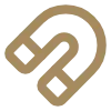 Magnet Icon