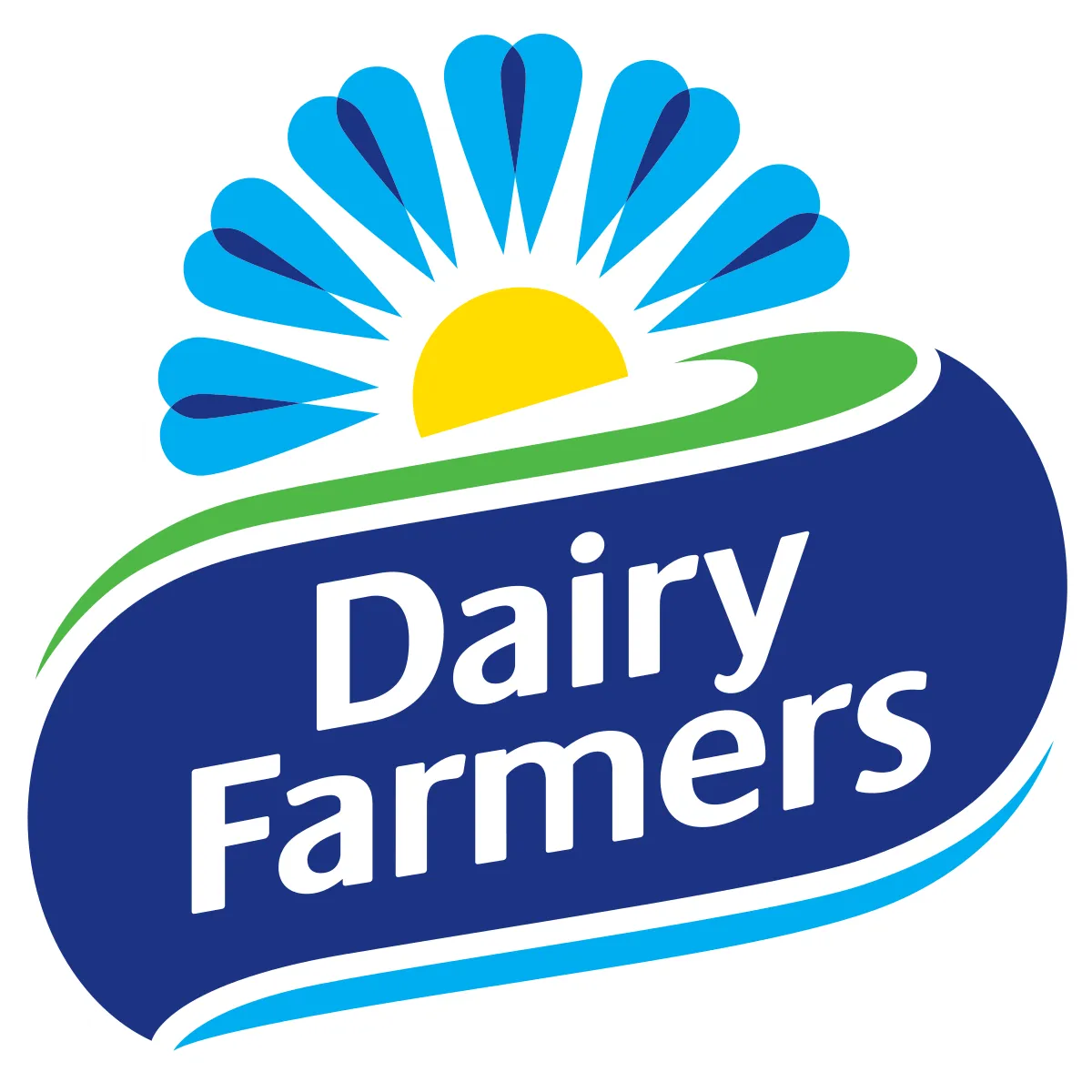 dairy farmers, epic werks media web design and photography,