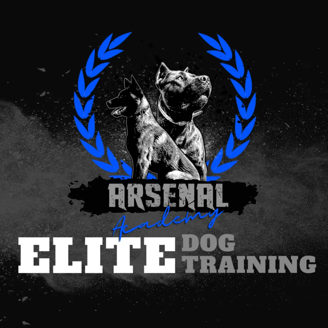 Mike Barron, Limelight Media, Motivated Training Clients, Personal Training Business Development, 2 Comma Club, Two Comma Club, FitPros, Closers, High Ticket Closers, High Ticket Sales, Closing Academy, Virtual Training Masterclass,