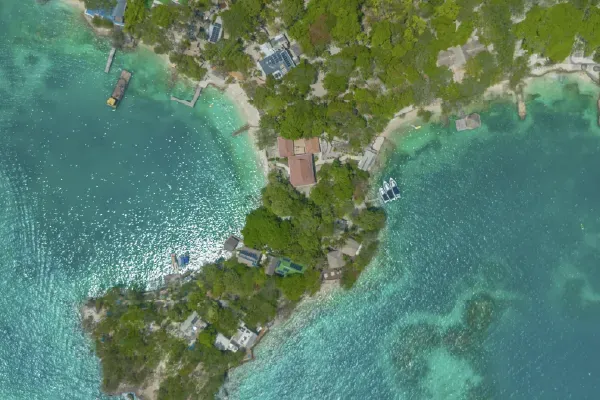 Biodiversidad de las Islas del Rosario: un tesoro natural por descubrir