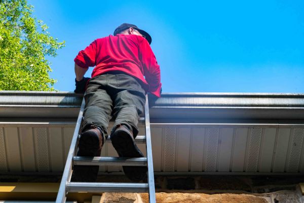 Patio Construction in 