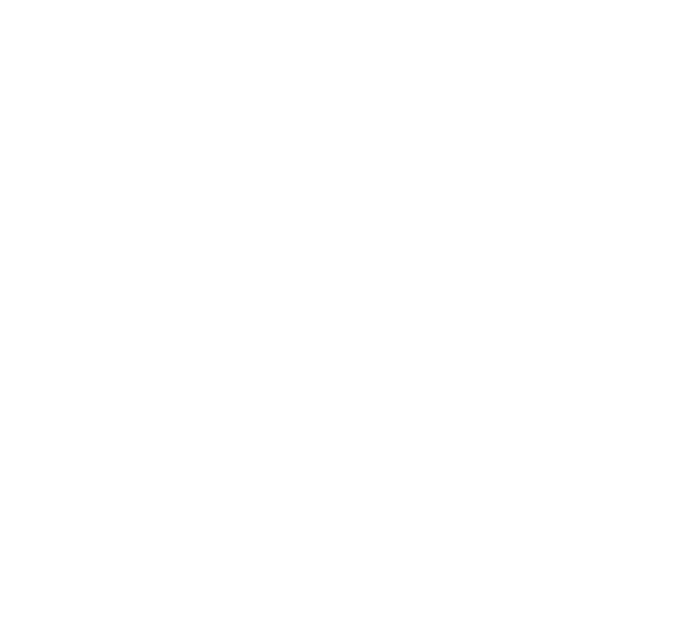 Certified Storybrand Guide Coach