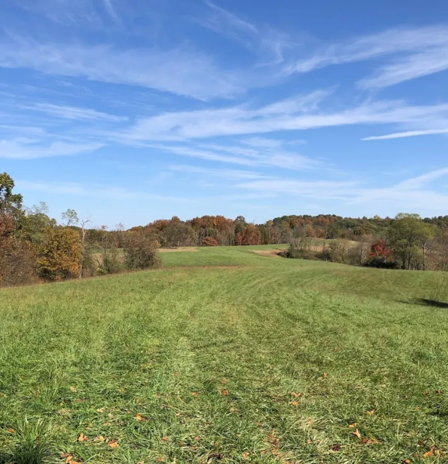 rolling farm field in lubeck, parkersburg