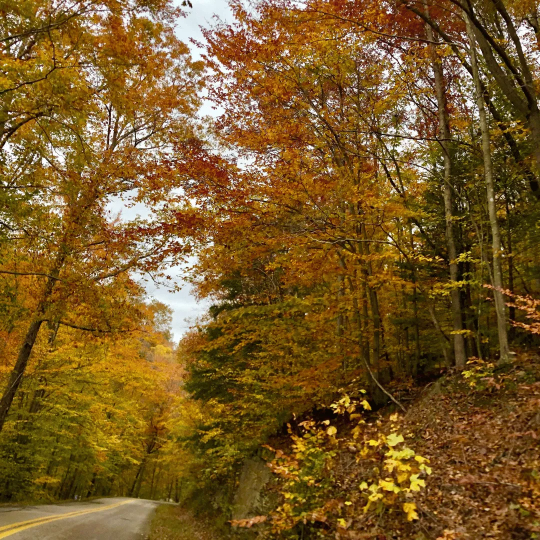 country road in autumn near parkersburg wv