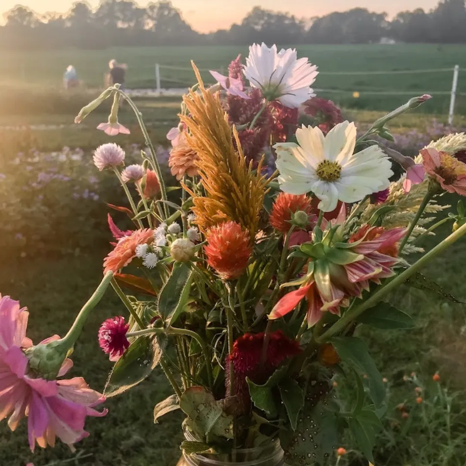 bouquet of wildflowers overlooking farmland