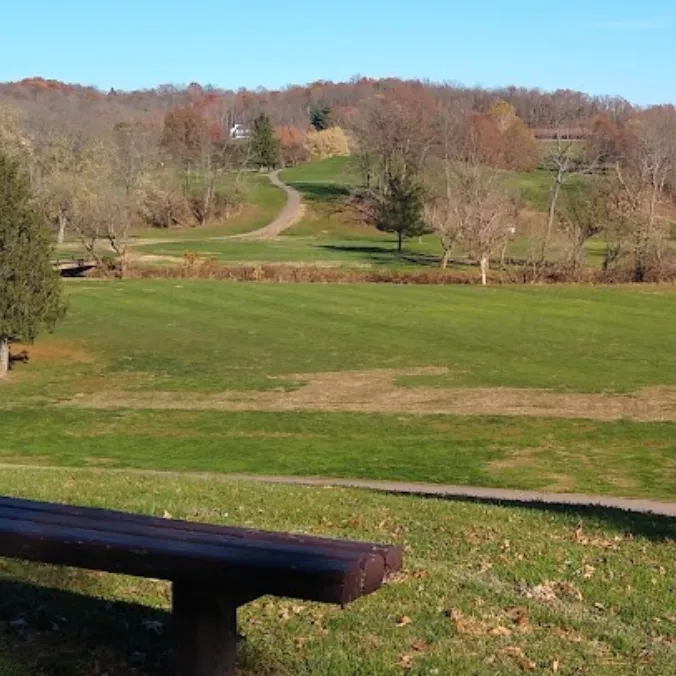 golf course overlooking trees