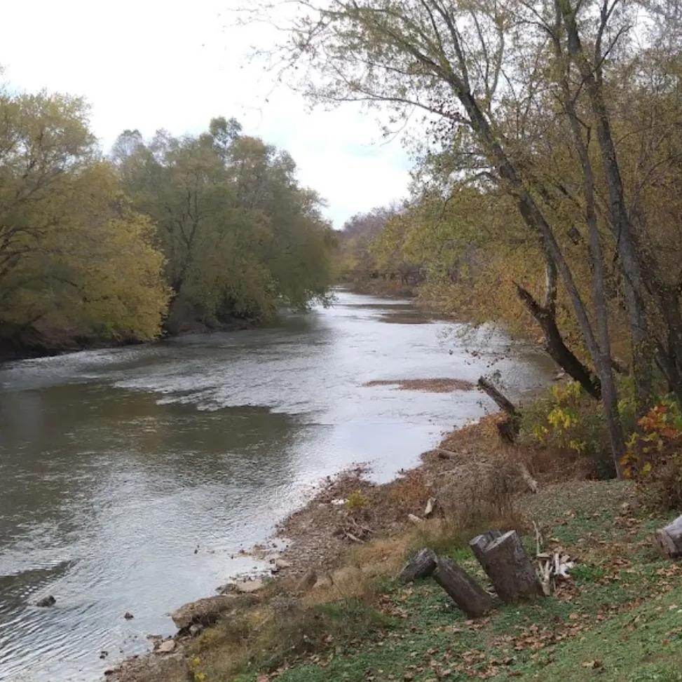 river flowing with trees surrounding it