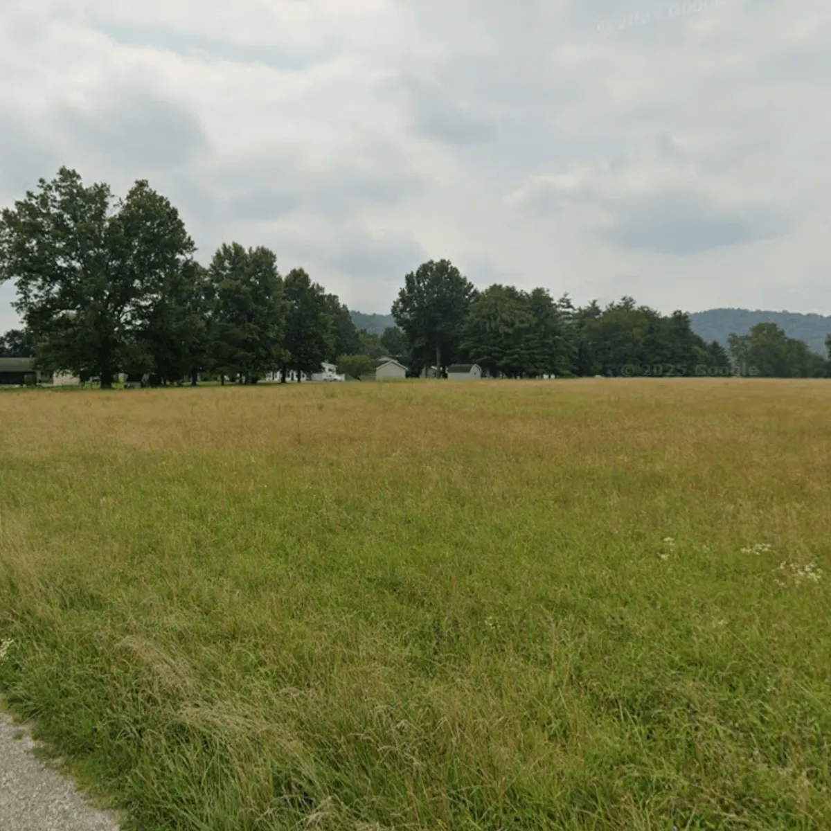 field with treeline in mineral wells neighborhood