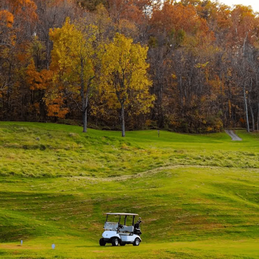 golf cart on the links at woodbridge golf course in mineral wells