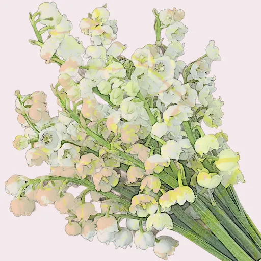 lily of the valley