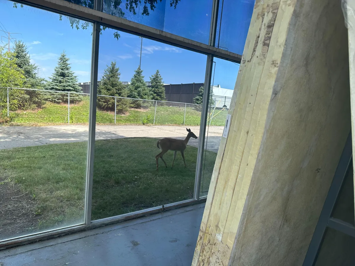 Eco-friendly quartz and natural stone kitchen countertops in Chicago