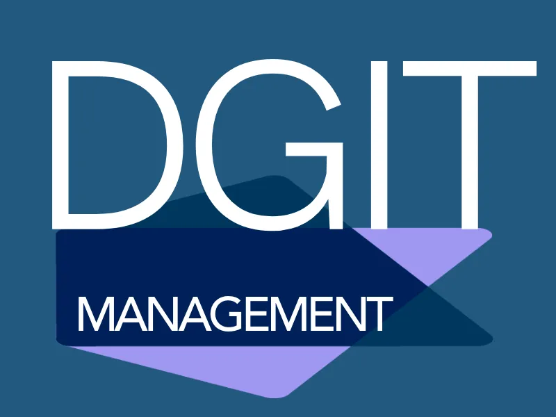 Logo DGIT Management