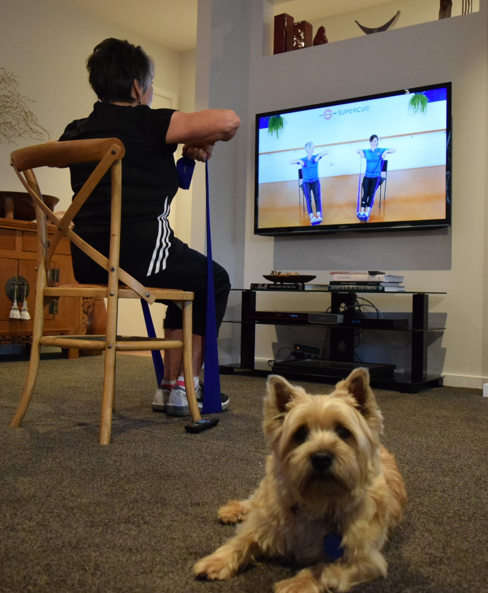 Smiling people exercising together in a bright fitness studio