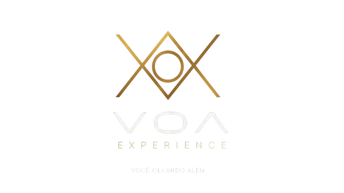 VOA EXPERIENCE Logo