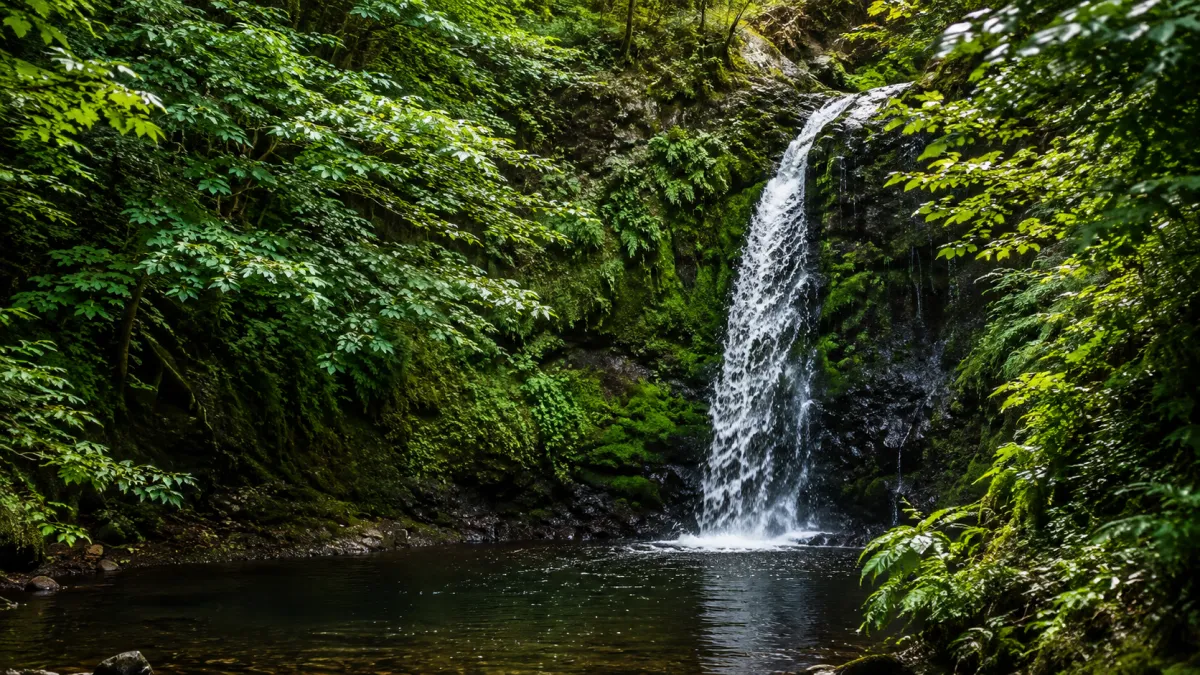 Hidden Falls in Happy Valley, Oregon