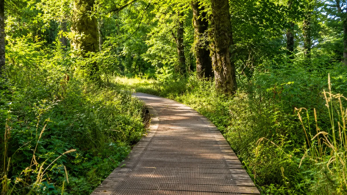 Mt. Talbert Nature Park in Clackamas, Oregon