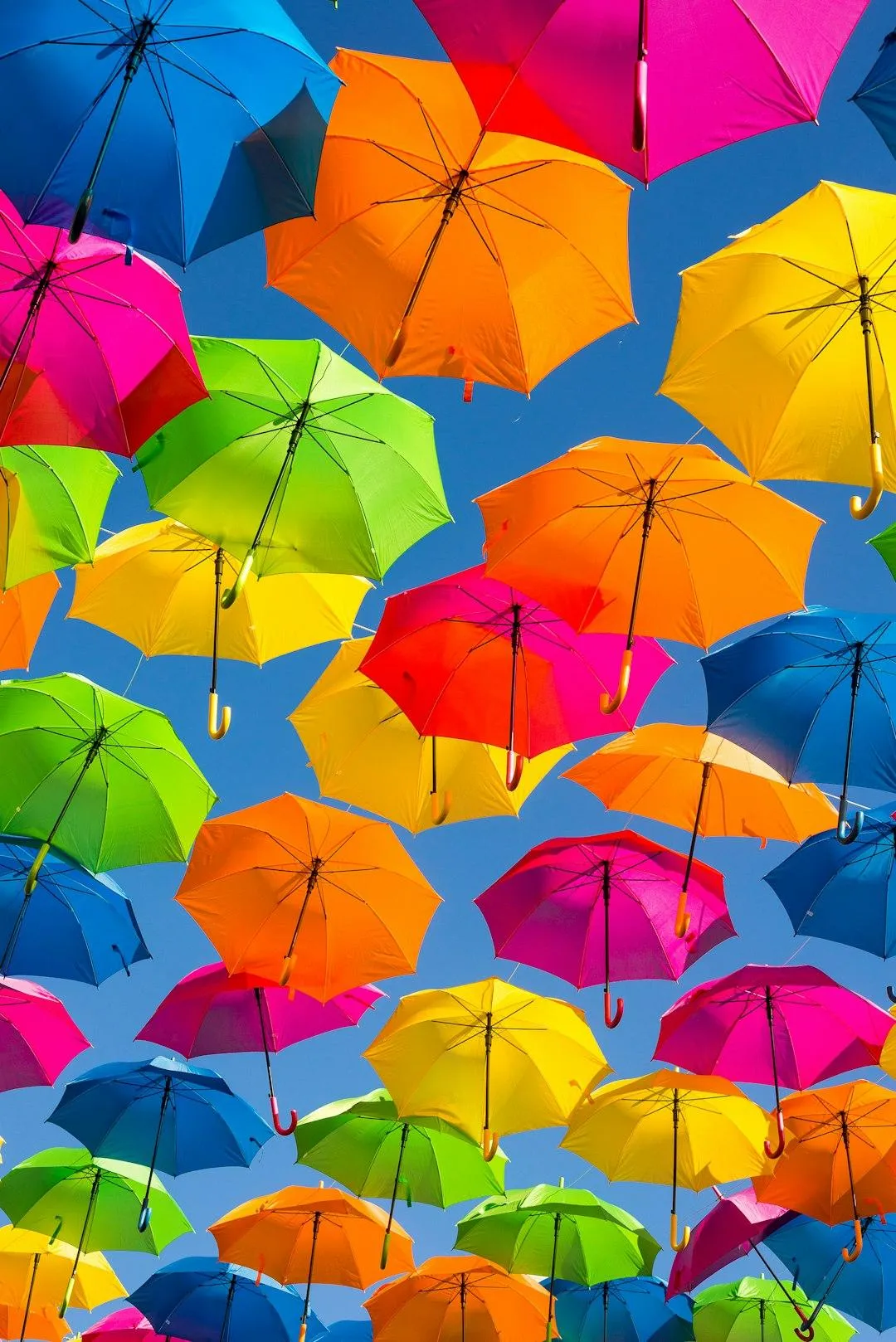 Colourful umbrellas in the sky