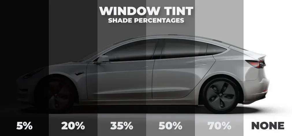 Window Tint Percentage Chart