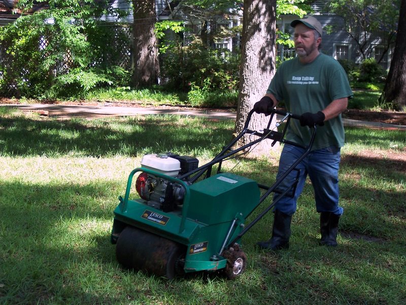 Recent landscaping work showing fresh sod