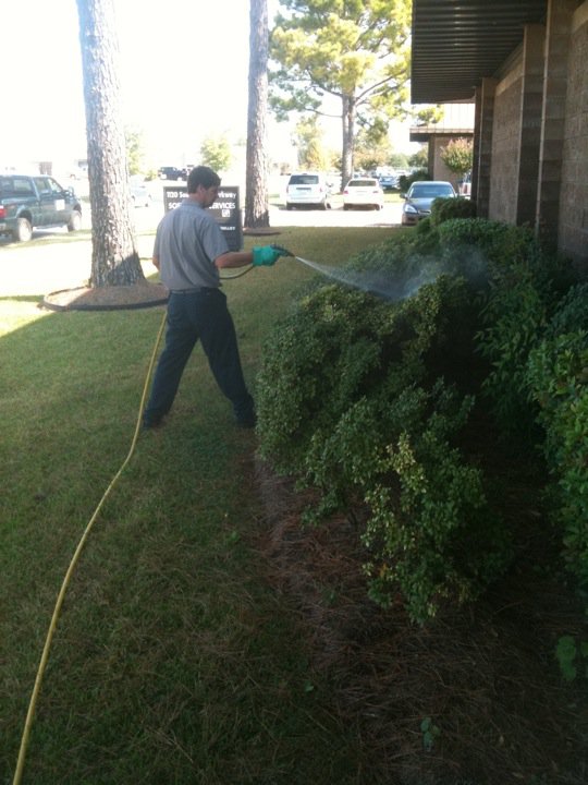 Recent landscaping work with garden beds