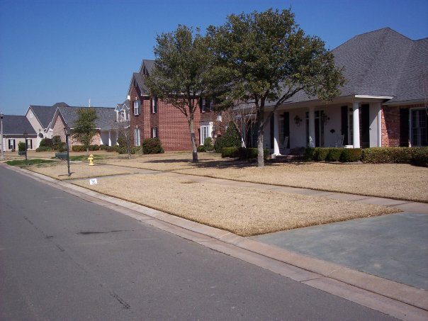Recent landscaping work showing hardscaping