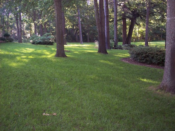 Recent landscaping work with garden beds