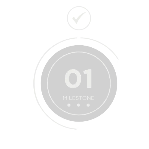 Milestone 1 icon, foundation check-up symbolizing the evaluation of the business's current state.