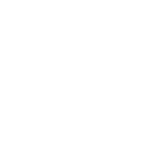 Icon of a person surrounded by five stars, representing expert coaching and guidance.