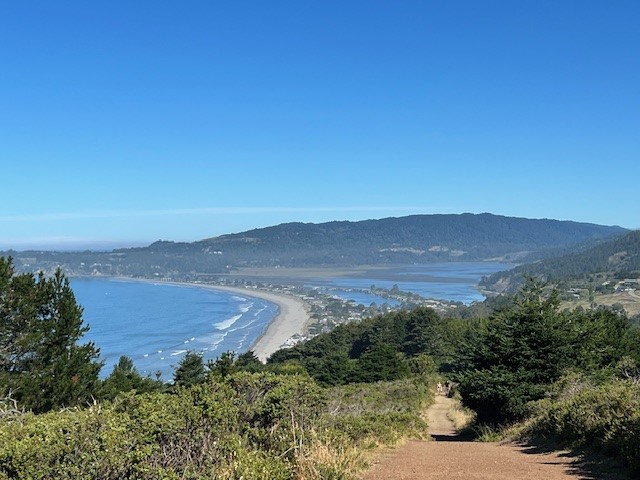 Step Into Another World:  Why the Dipsea Steps Are Magical 