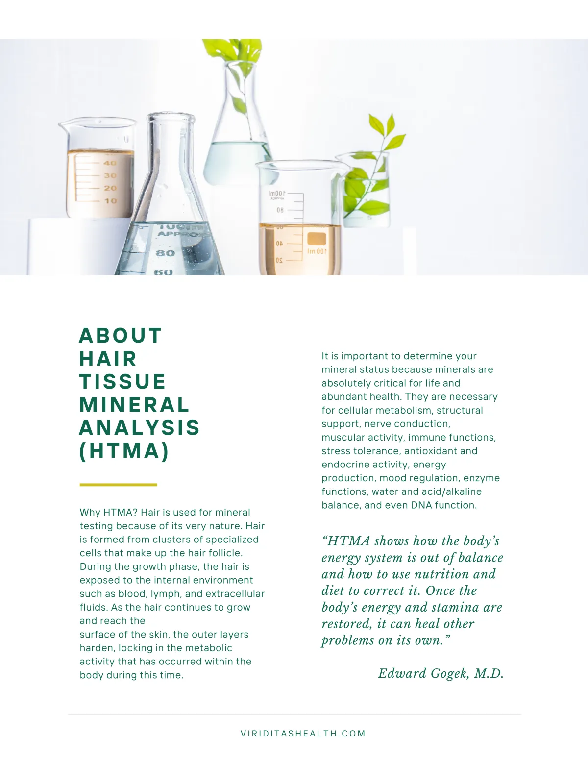 about HTMA info sheet