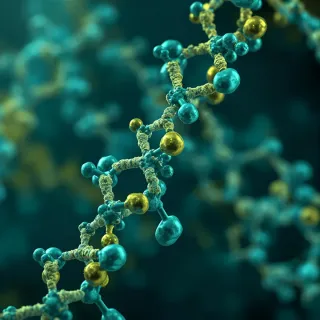 chartreuse and teal peptide molecules