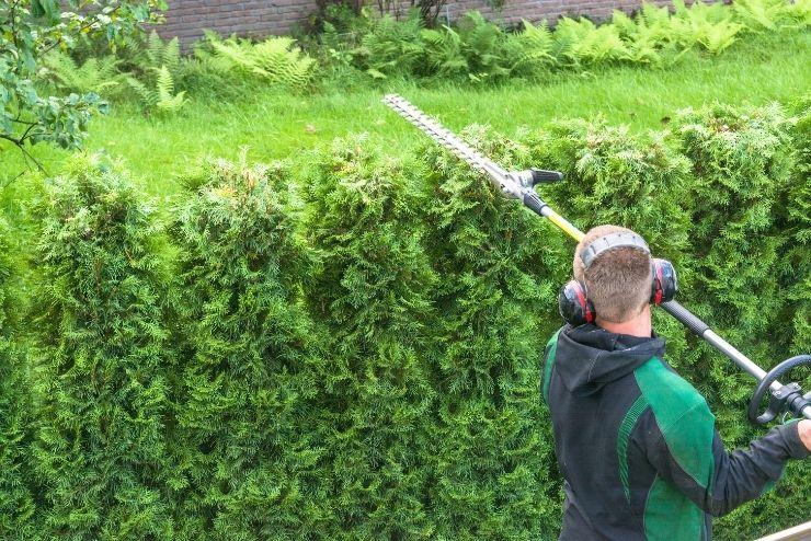 Heckenschnitt in Koblenz