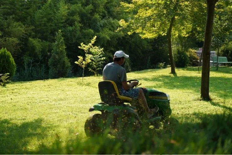 Gartenpflege in Koblenz