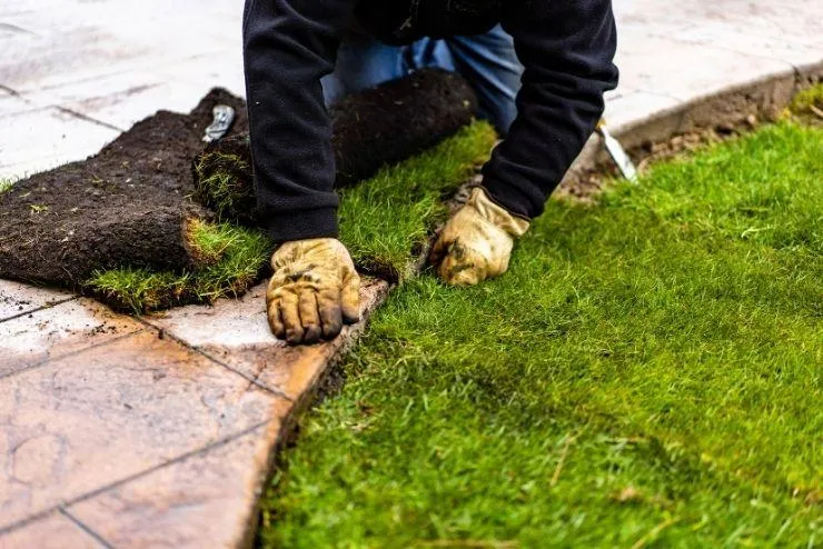 Rollrasen in Koblenz