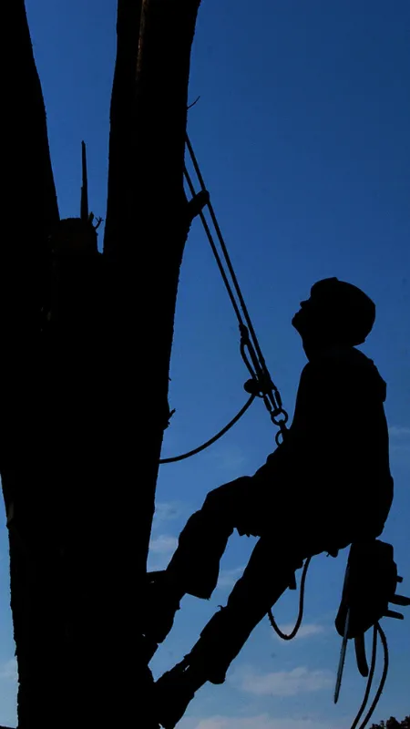 Garten- und Landschaftsbau in Koblenz