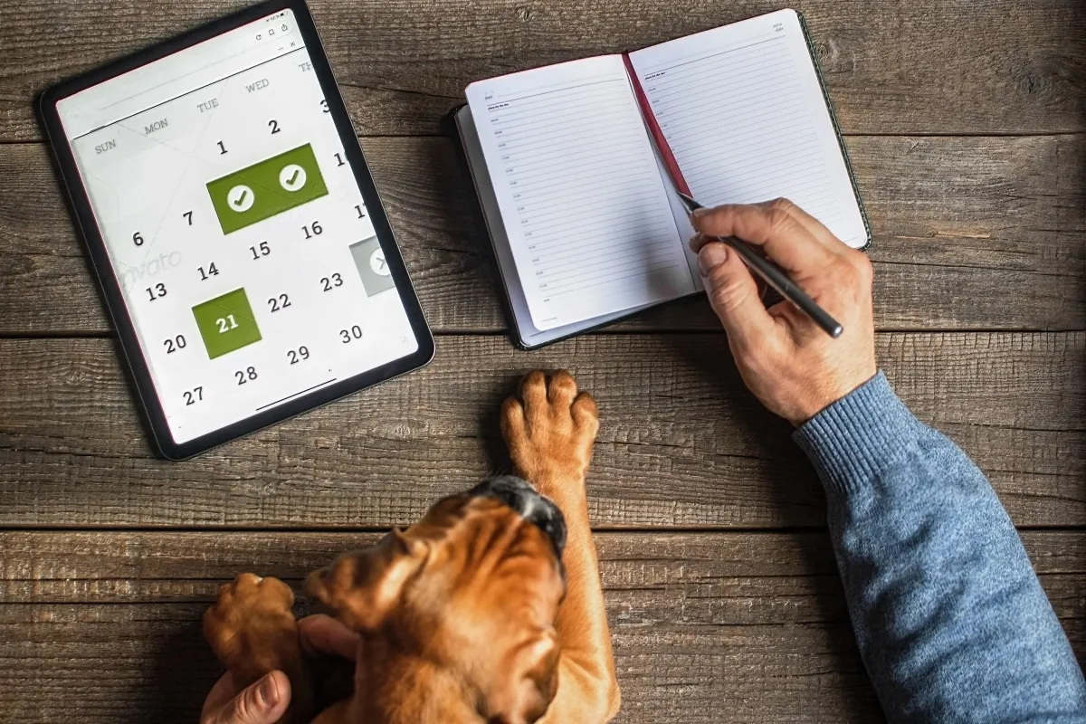 An individual planning the work looking at the calendar in the tablet holding a dog in the other hand