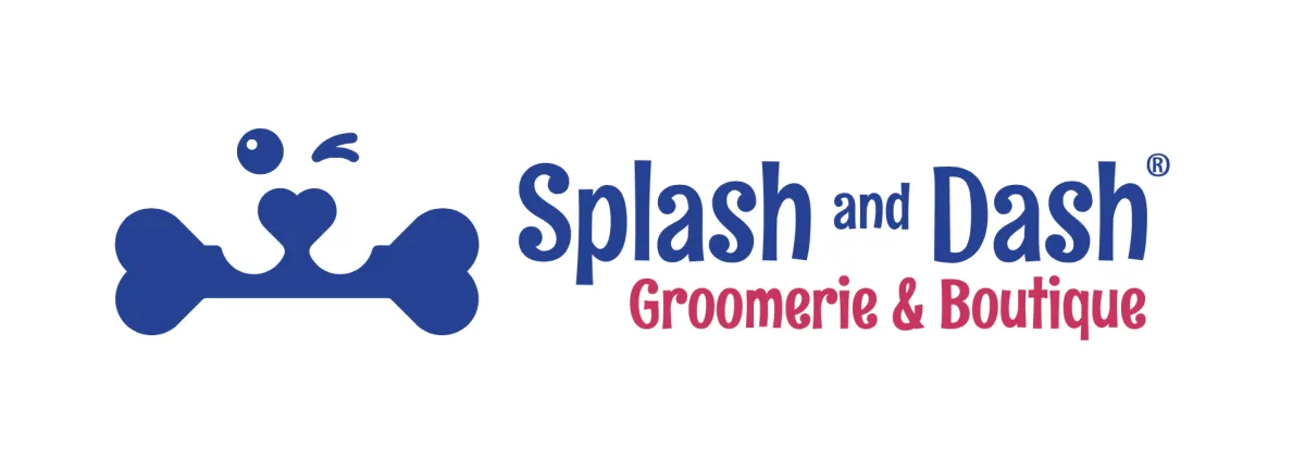 Splash and Dash Logo