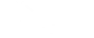 Almaz Loo
