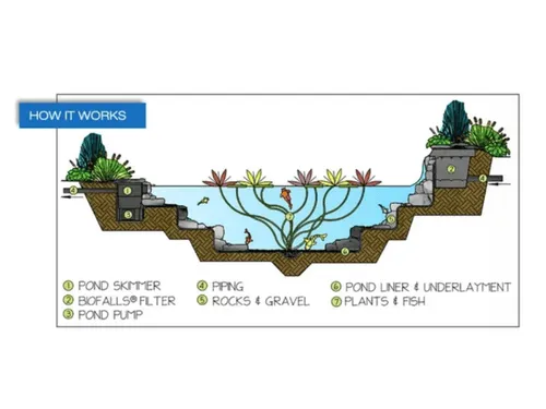 {{ custom_values.service_1 }} in {{custom_values.biz_area_1})