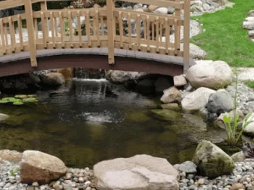 Large Pond Filtration Detroit