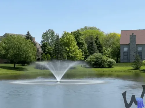 Fountains Aeration in Detroit