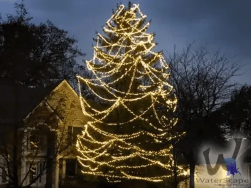 Patio Services Detroit