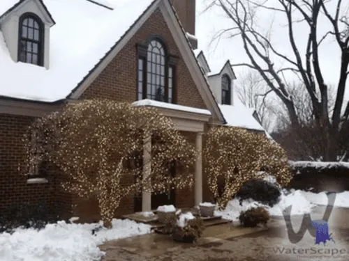 New Water Feature Detroit